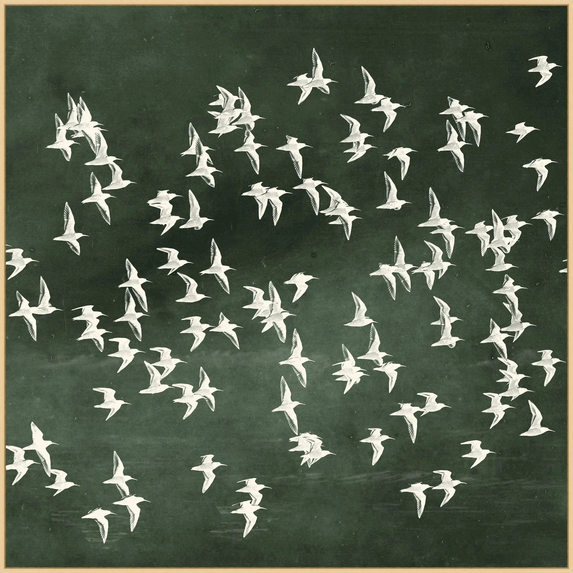 Flight of Passage 2 - 48x48
