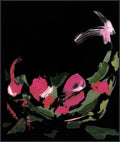 Rose Reverberation